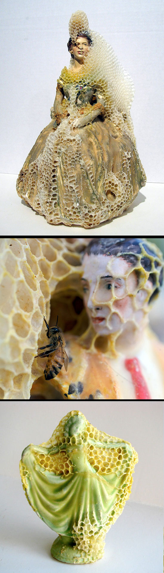 Aganetha Dyck, sculptures made by honeybees